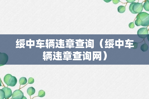 绥中车辆违章查询（绥中车辆违章查询网）