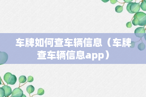 车牌如何查车辆信息（车牌查车辆信息app）