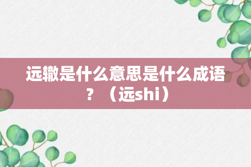 远辙是什么意思是什么成语？（远shi）