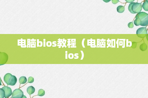 电脑bios教程（电脑如何bios）