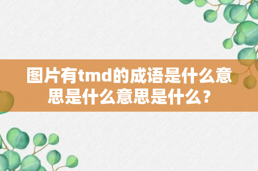 图片有tmd的成语是什么意思是什么意思是什么？