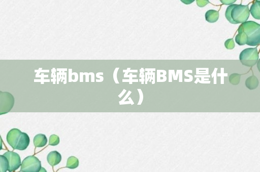 车辆bms（车辆BMS是什么）