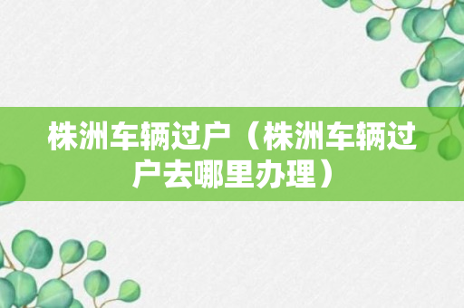 株洲车辆过户（株洲车辆过户去哪里办理）