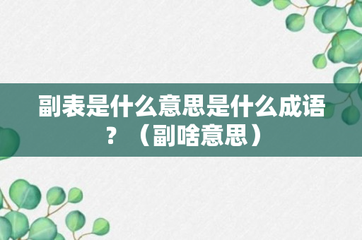 副表是什么意思是什么成语？（副啥意思）