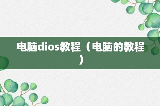 电脑dios教程（电脑的教程）