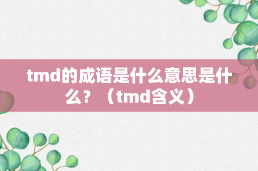 tmd的成语是什么意思是什么？（tmd含义）