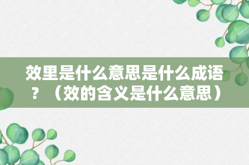 效里是什么意思是什么成语？（效的含义是什么意思）