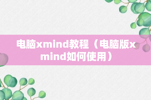 电脑xmind教程（电脑版xmind如何使用）