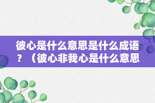 彼心是什么意思是什么成语？（彼心非我心是什么意思）