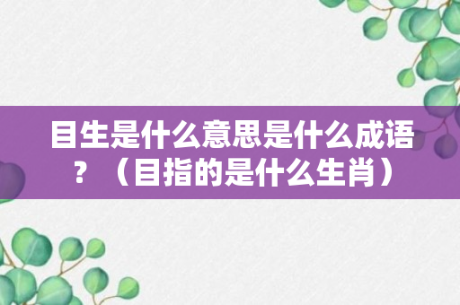 目生是什么意思是什么成语？（目指的是什么生肖）