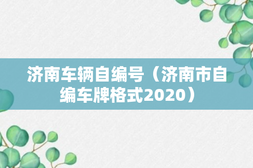 济南车辆自编号（济南市自编车牌格式2020）