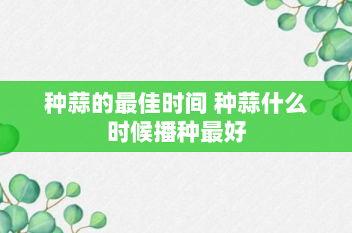 种蒜的最佳时间 种蒜什么时候播种最好