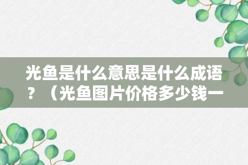 光鱼是什么意思是什么成语？（光鱼图片价格多少钱一斤）