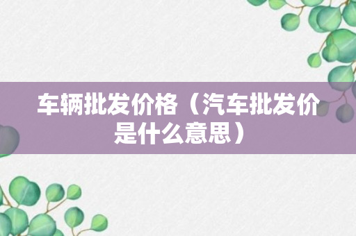 车辆批发价格（汽车批发价是什么意思）