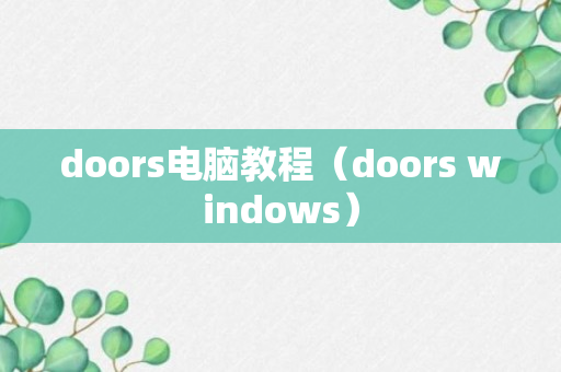 doors电脑教程（doors windows）