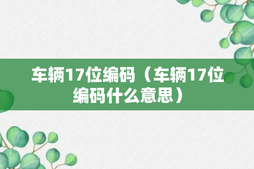 车辆17位编码（车辆17位编码什么意思）