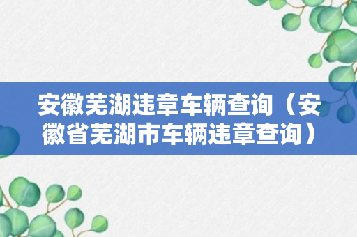 安徽芜湖违章车辆查询（安徽省芜湖市车辆违章查询）