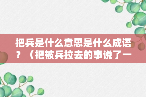 把兵是什么意思是什么成语？（把被兵拉去的事说了一遍这是经过怎样请简要介绍一下）