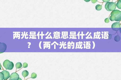 两光是什么意思是什么成语？（两个光的成语）