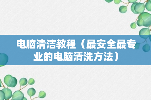 电脑清洁教程（最安全最专业的电脑清洗方法）