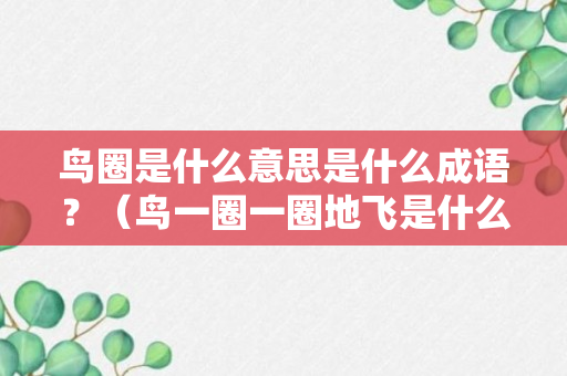 鸟圈是什么意思是什么成语？（鸟一圈一圈地飞是什么现象）