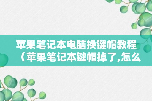 苹果笔记本电脑换键帽教程（苹果笔记本键帽掉了,怎么装回去）