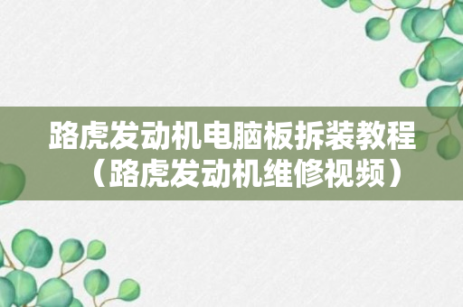 路虎发动机电脑板拆装教程（路虎发动机维修视频）