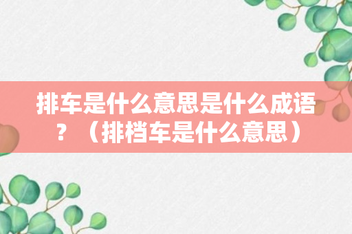 排车是什么意思是什么成语？（排档车是什么意思）