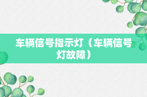 车辆信号指示灯（车辆信号灯故障）