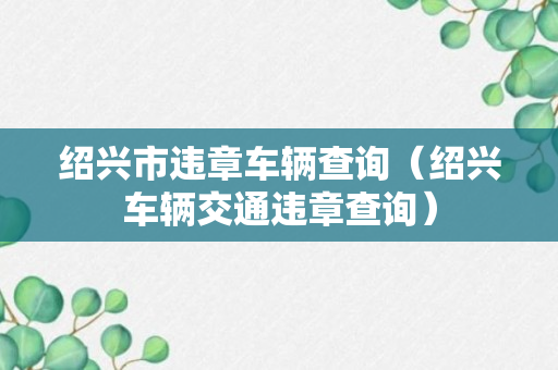 绍兴市违章车辆查询（绍兴车辆交通违章查询）