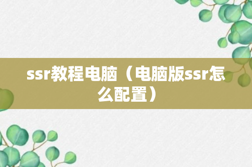 ssr教程电脑（电脑版ssr怎么配置）