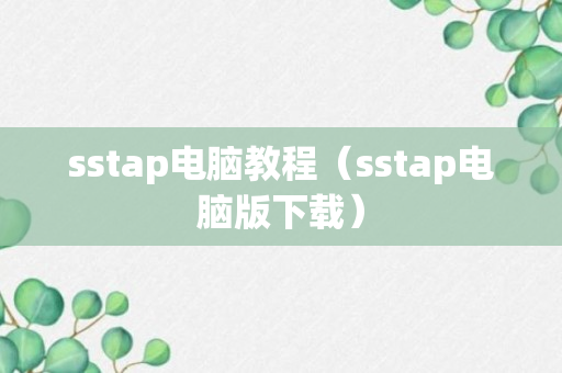 sstap电脑教程（sstap电脑版下载）