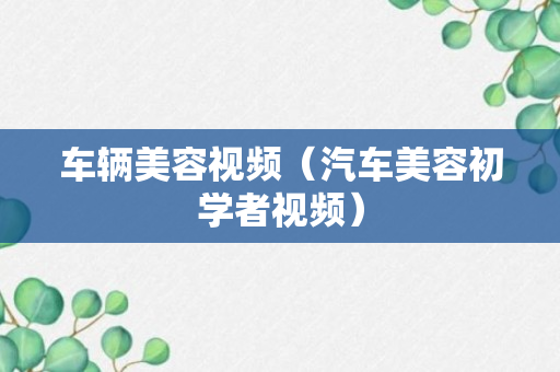 车辆美容视频（汽车美容初学者视频）