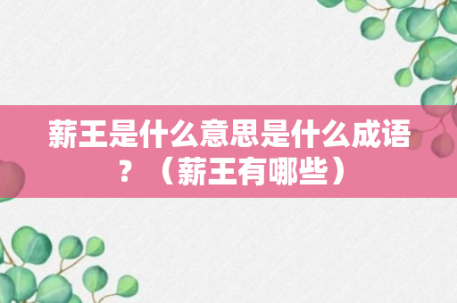 薪王是什么意思是什么成语？（薪王有哪些）