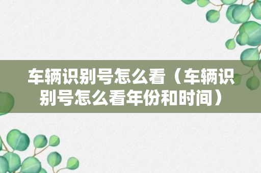 车辆识别号怎么看（车辆识别号怎么看年份和时间）