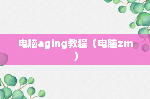 电脑aging教程（电脑zm）