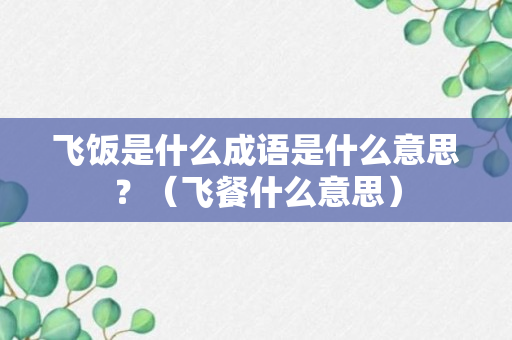 飞饭是什么成语是什么意思？（飞餐什么意思）