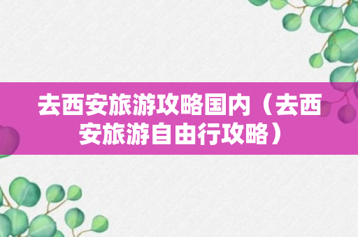 去西安旅游攻略国内（去西安旅游自由行攻略）