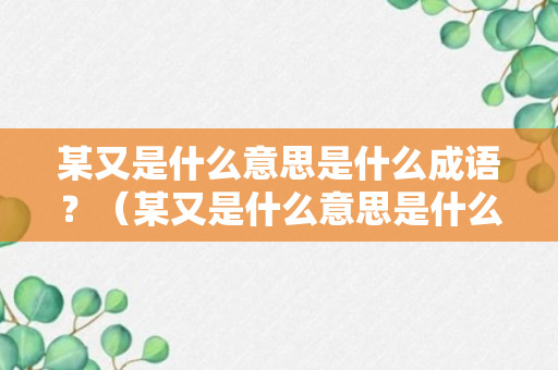 某又是什么意思是什么成语？（某又是什么意思是什么成语呢）