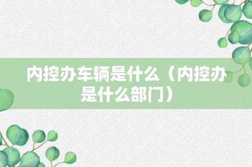 内控办车辆是什么（内控办是什么部门）