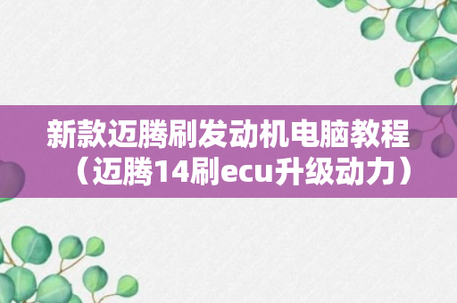 新款迈腾刷发动机电脑教程（迈腾14刷ecu升级动力）