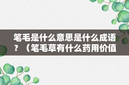 笔毛是什么意思是什么成语？（笔毛草有什么药用价值）