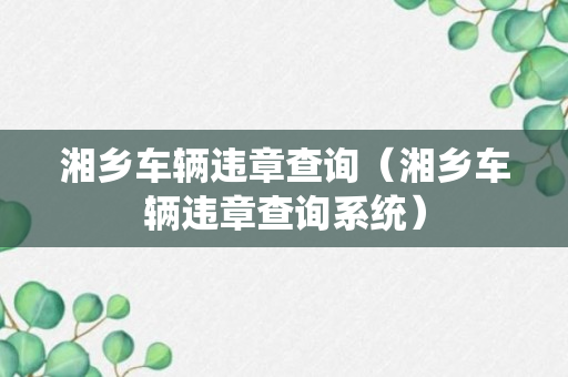 湘乡车辆违章查询（湘乡车辆违章查询系统）