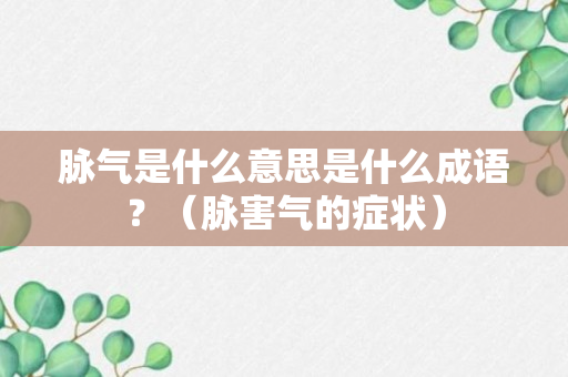 脉气是什么意思是什么成语？（脉害气的症状）