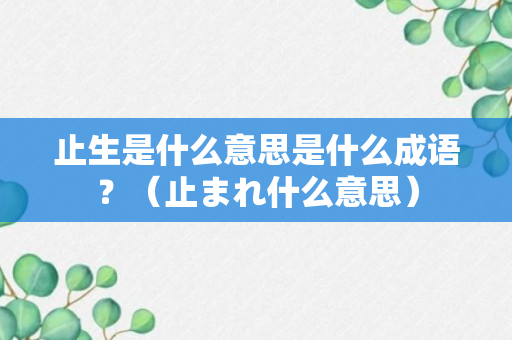 止生是什么意思是什么成语？（止まれ什么意思）