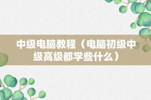 中级电脑教程（电脑初级中级高级都学些什么）