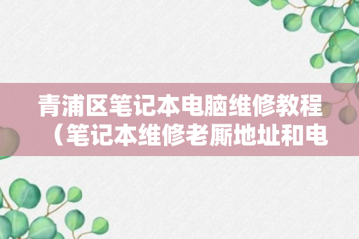 青浦区笔记本电脑维修教程（笔记本维修老厮地址和电话）