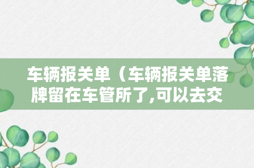 车辆报关单（车辆报关单落牌留在车管所了,可以去交管所调取吗）