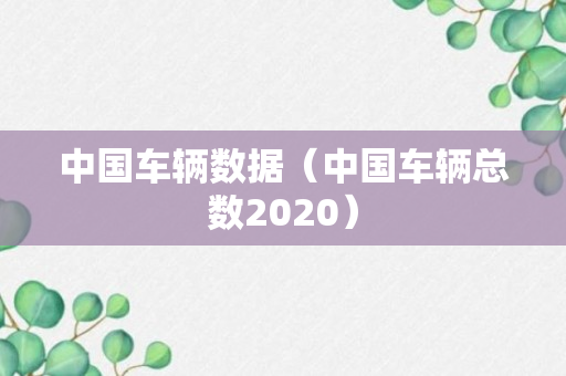 中国车辆数据（中国车辆总数2020）