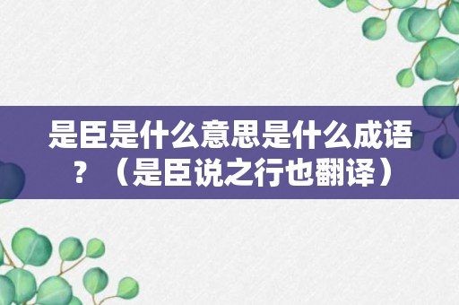 是臣是什么意思是什么成语？（是臣说之行也翻译）